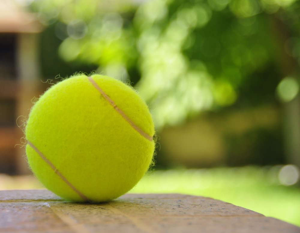Cómo saber cuál es la mejor pelota de tenis